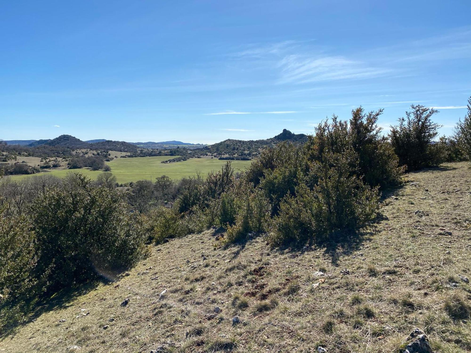 Domaine De Servieres - Grand * Le Caylar